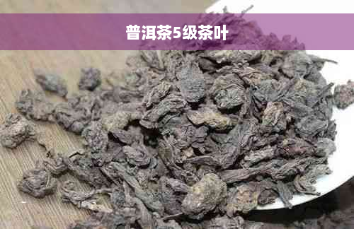 普洱茶5级茶叶