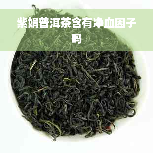 紫娟普洱茶含有净血因子吗