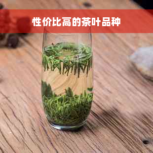 性价比高的茶叶品种