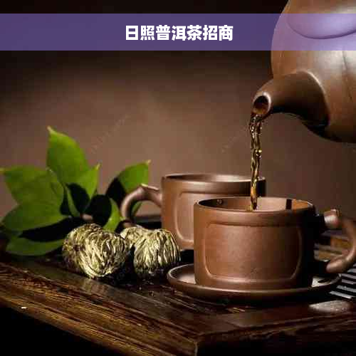 日照普洱茶招商