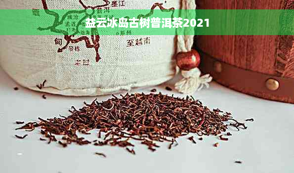 益云冰岛古树普洱茶2021