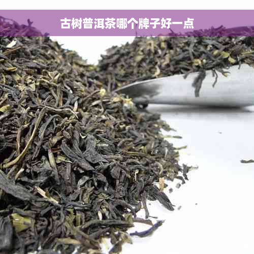 古树普洱茶哪个牌子好一点