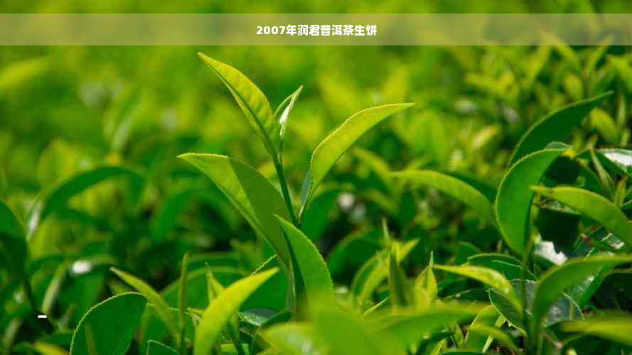 2007年润君普洱茶生饼