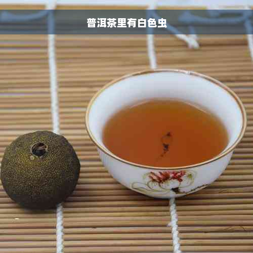 普洱茶里有白色虫