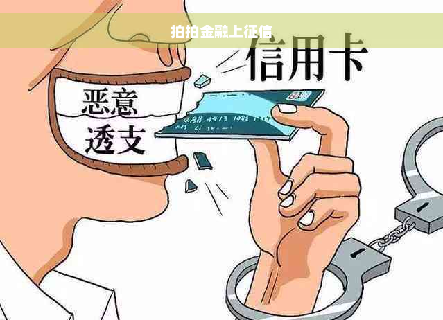 拍拍金融上征信