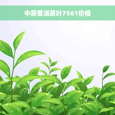 中茶普洱茶叶7561价格