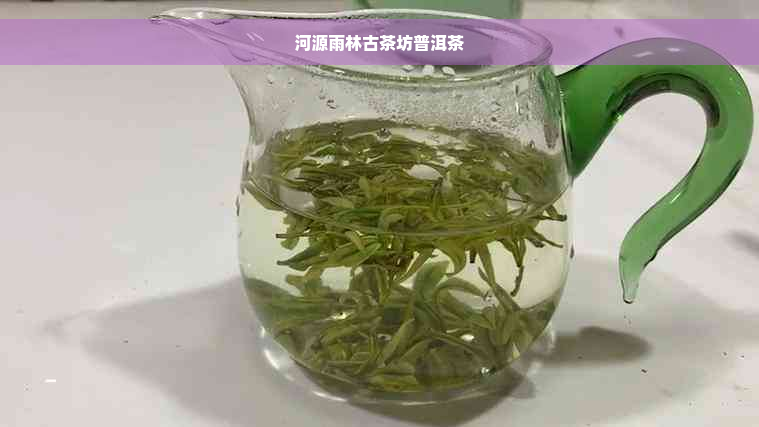 河源雨林古茶坊普洱茶