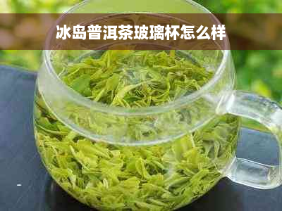 冰岛普洱茶玻璃杯怎么样