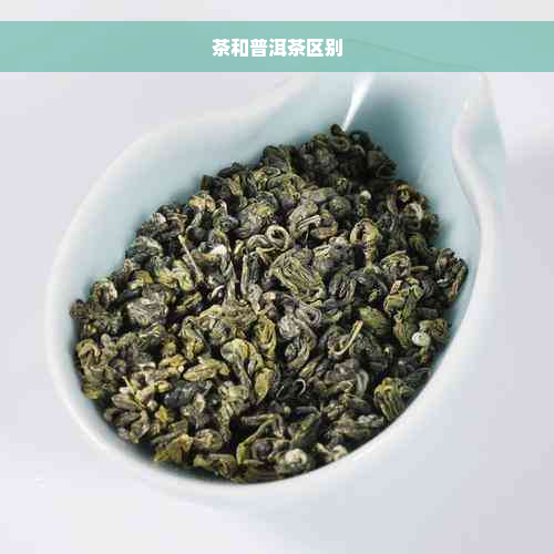 茶和普洱茶区别