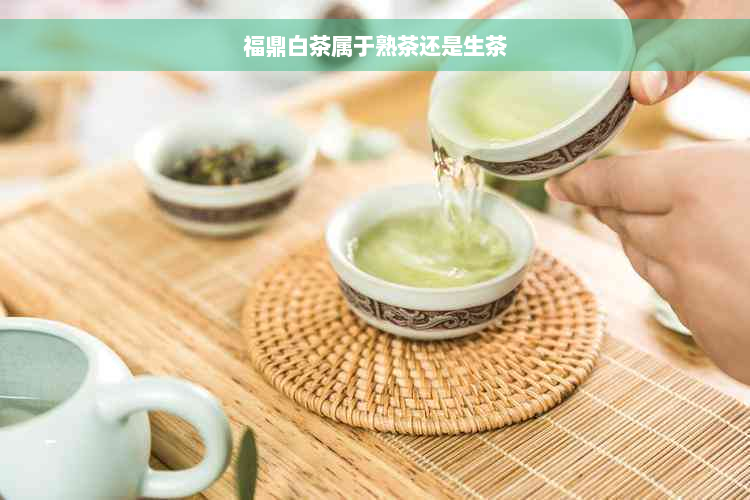 福鼎白茶属于熟茶还是生茶