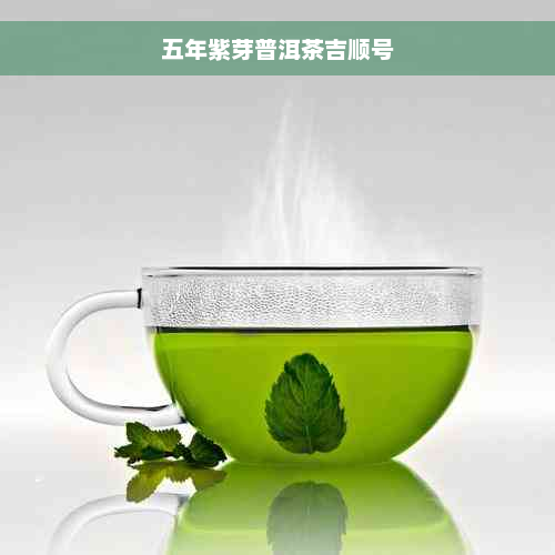 五年紫芽普洱茶吉顺号