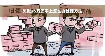 欠账25万还不上怎么办处理方法