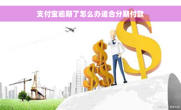 支付宝逾期了怎么办适合分期付款