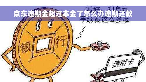 京东逾期金超过本金了怎么办逾期还款