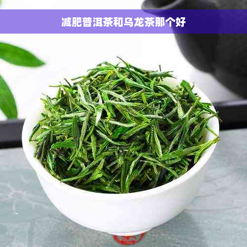 减肥普洱茶和乌龙茶那个好