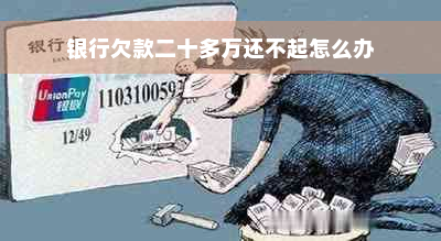 银行欠款二十多万还不起怎么办