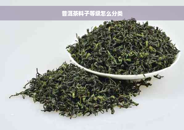 普洱茶料子等级怎么分类