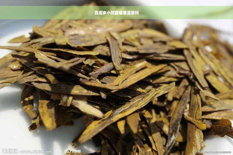 四周岁小孩能喝普洱茶吗