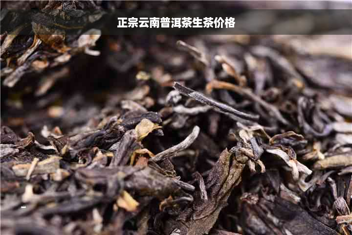 正宗云南普洱茶生茶价格