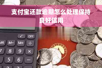 支付宝还款逾期怎么处理保持良好信用