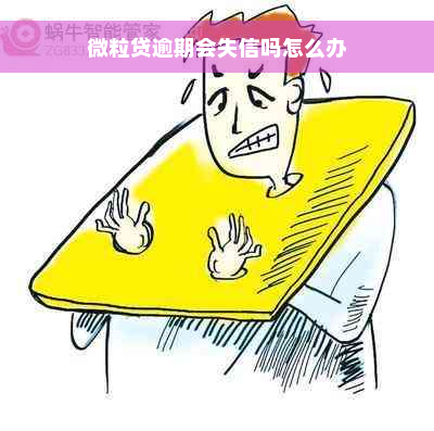 微粒贷逾期会失信吗怎么办