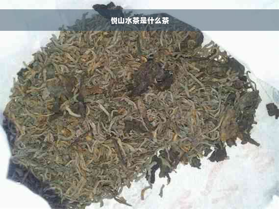 悦山水茶是什么茶