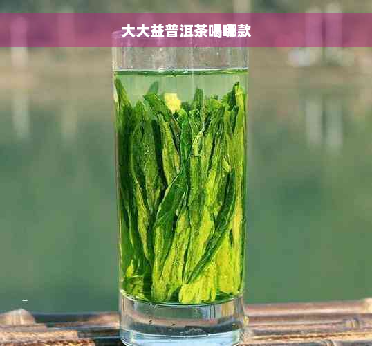 大大益普洱茶喝哪款