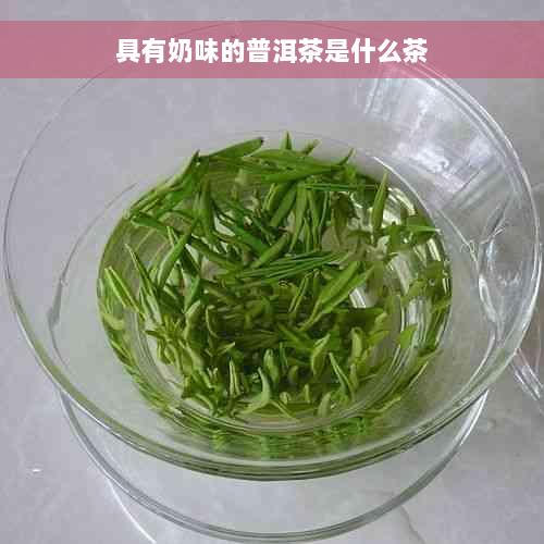 具有奶味的普洱茶是什么茶