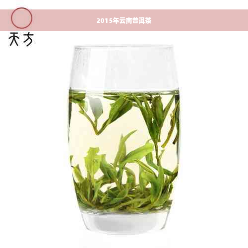 2015年云南普洱茶