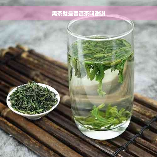 黑茶就是普洱茶吗谢谢