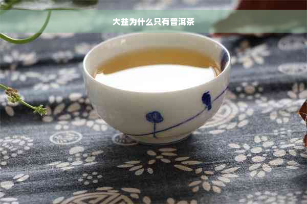 大益为什么只有普洱茶