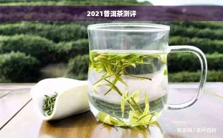 2021普洱茶测评