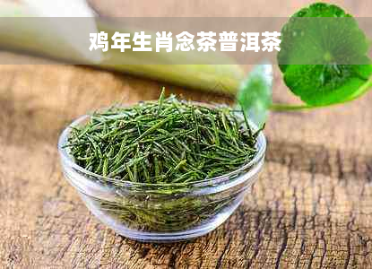 鸡年生肖念茶普洱茶