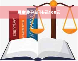 民生银行信用卡还100元