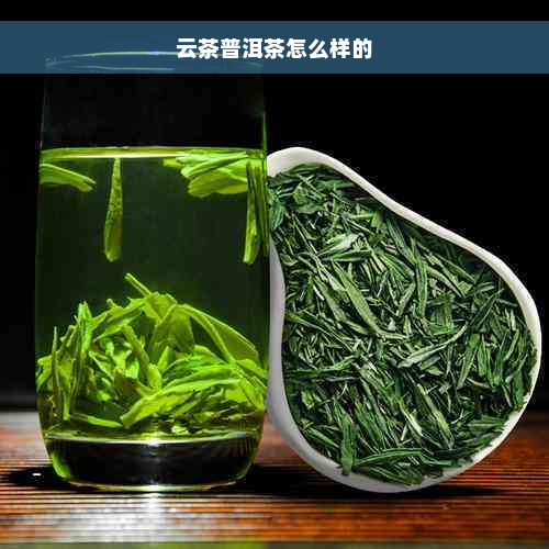 云茶普洱茶怎么样的