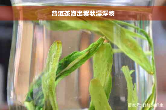 普洱茶泡出絮状漂浮物