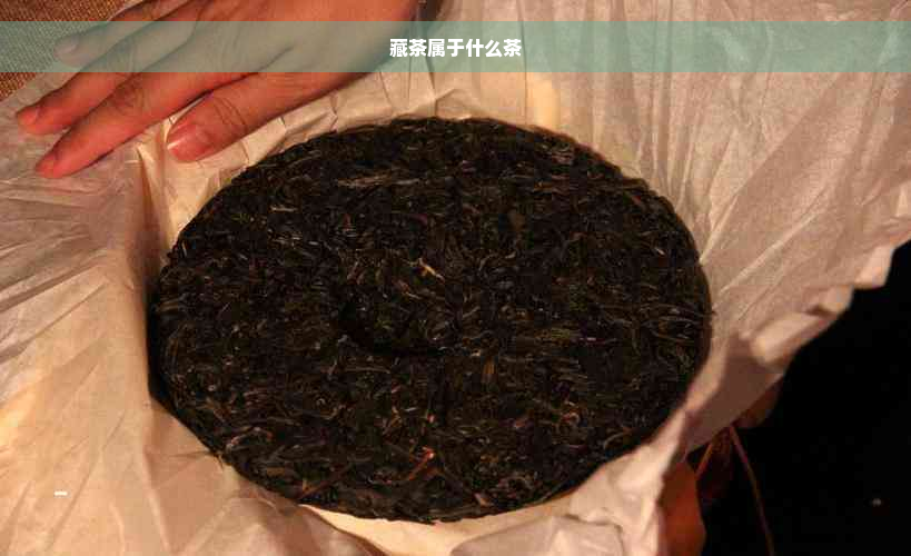 藏茶属于什么茶