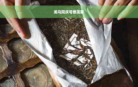 龙马同庆号普洱茶