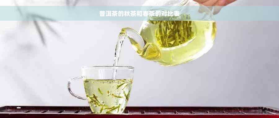 普洱茶的秋茶和春茶的对比表