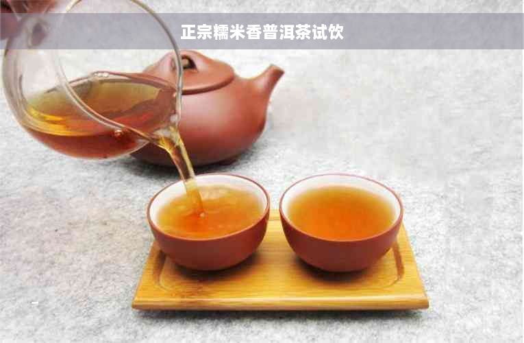 正宗糯米香普洱茶试饮