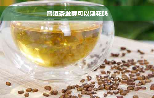 普洱茶发酵可以浇花吗