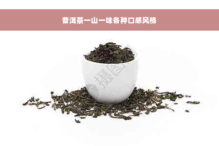 普洱茶一山一味各种口感风格