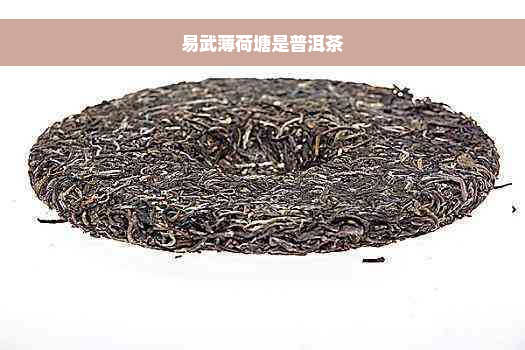 易武薄荷塘是普洱茶