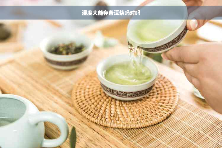 湿度大能存普洱茶吗对吗