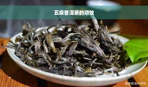 五级普洱茶的功效