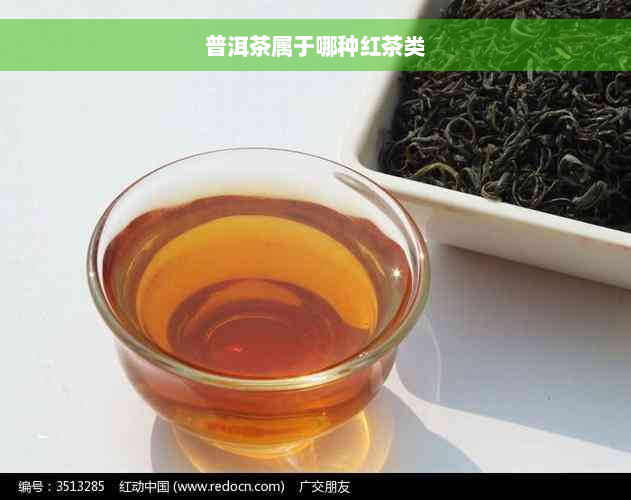 普洱茶属于哪种红茶类