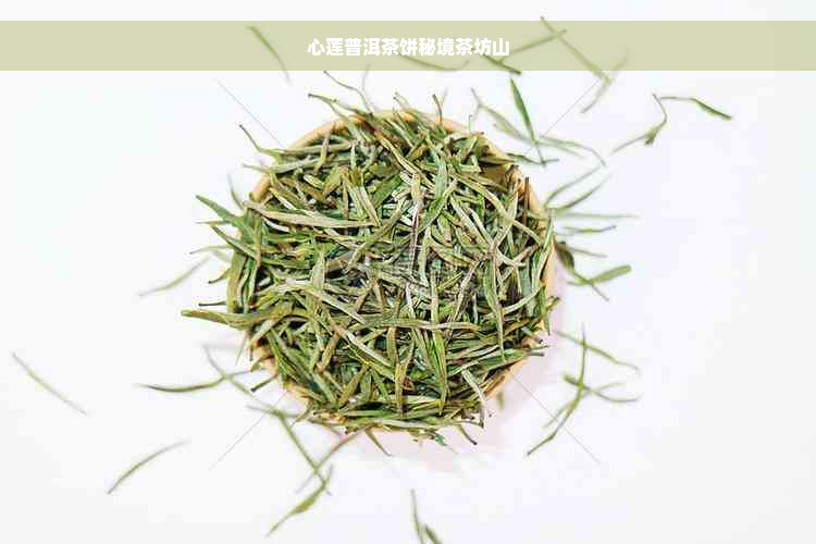 心莲普洱茶饼秘境茶坊山