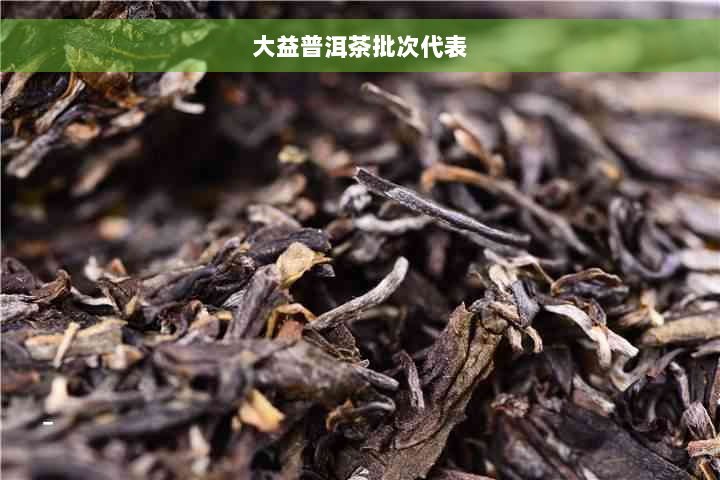 大益普洱茶批次代表