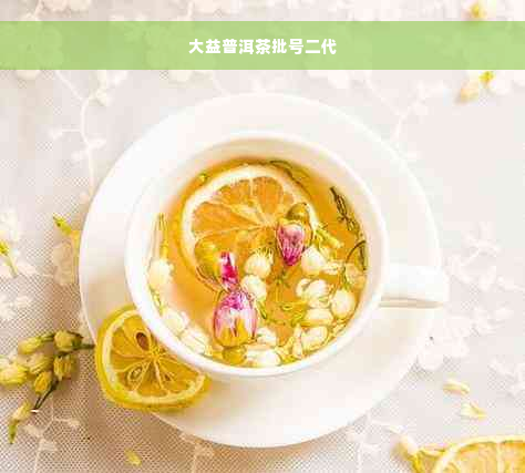 大益普洱茶批号二代