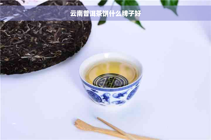 云南普洱茶饼什么牌子好